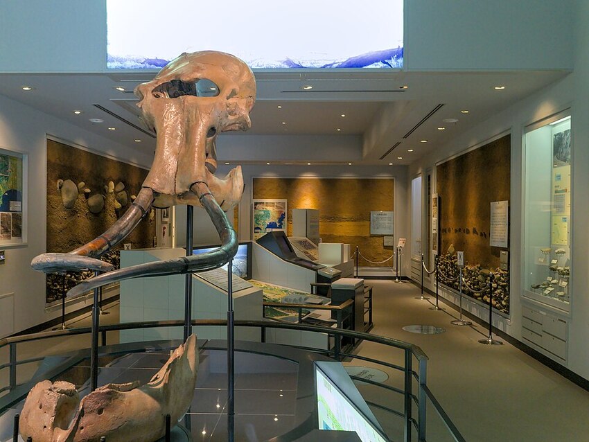 相模原市立博物館