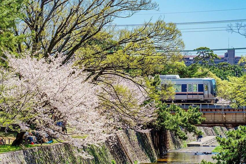 旅行プランのサムネイル