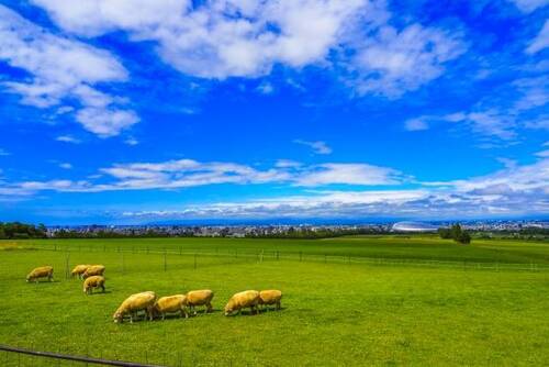 札幌・小樽の自然と文化を満喫する美景巡り のイメージ