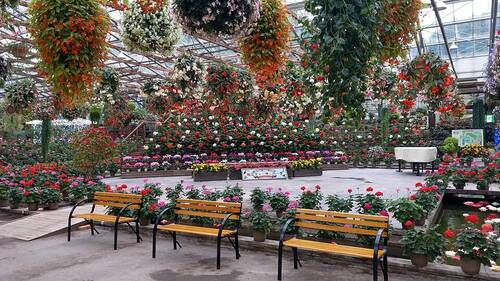 松江〜米子周辺 歴史と自然をめぐる旅行 のイメージ