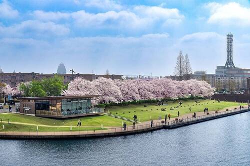 富岩運河環水公園