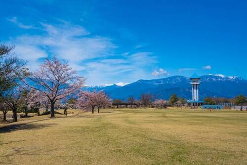 赤坂台総合公園