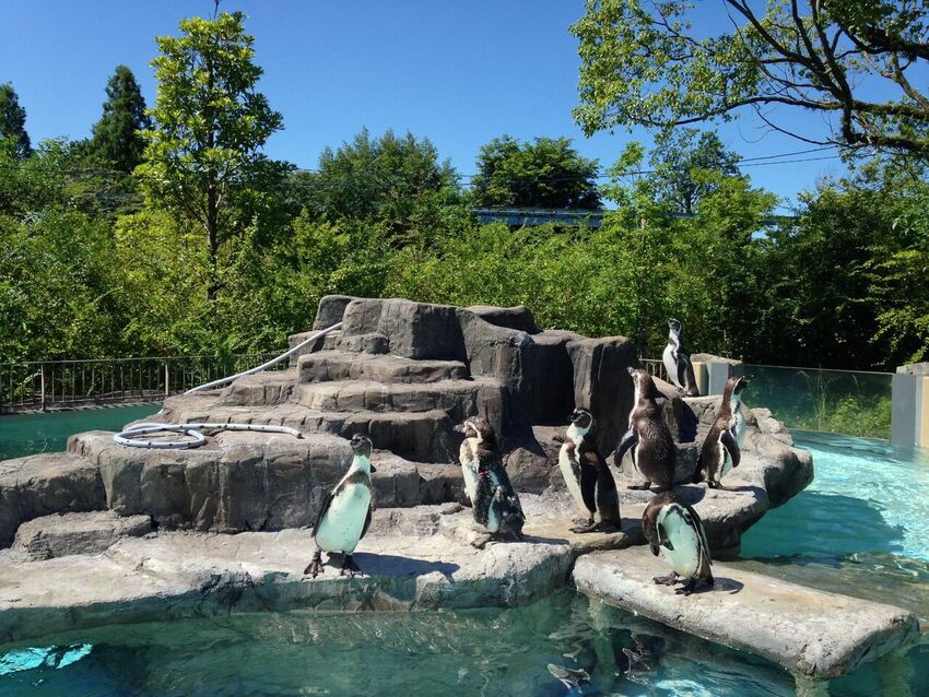 熊本市動植物園