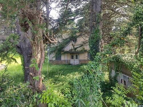 那珂川河川敷沿い