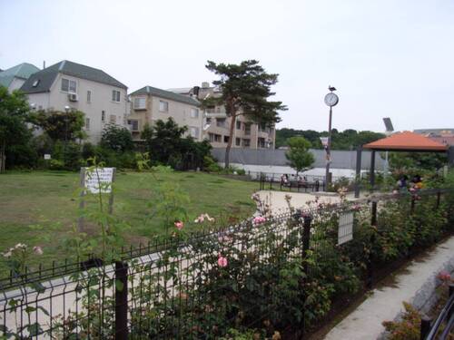 参宮橋公園周辺